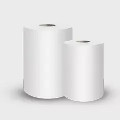 Sanitary paper